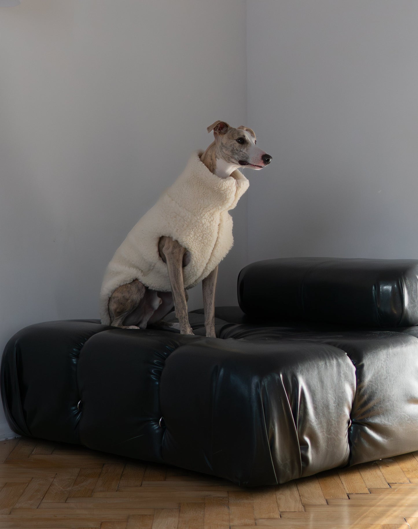 Gilet en laine pour chien - Blanc