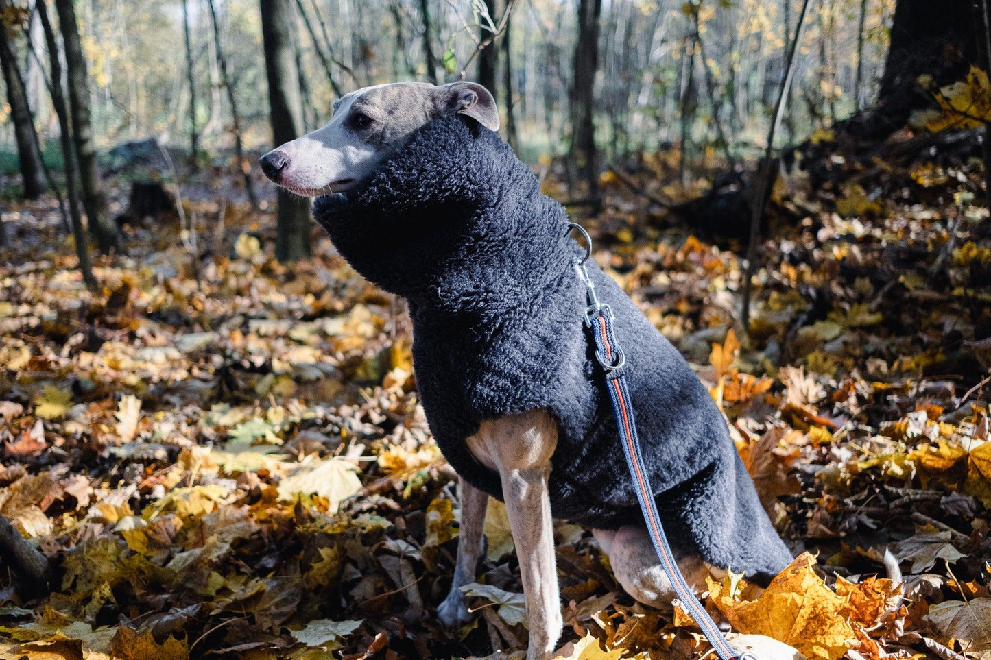 Woolen Dog Vest - Charcoal-3