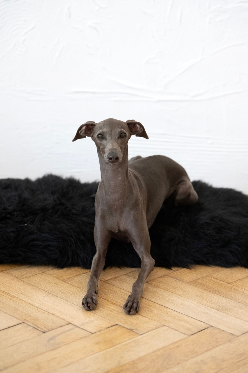 Tapis pour chien en peau de mouton naturelle, carré ou rectangulaire - Noir