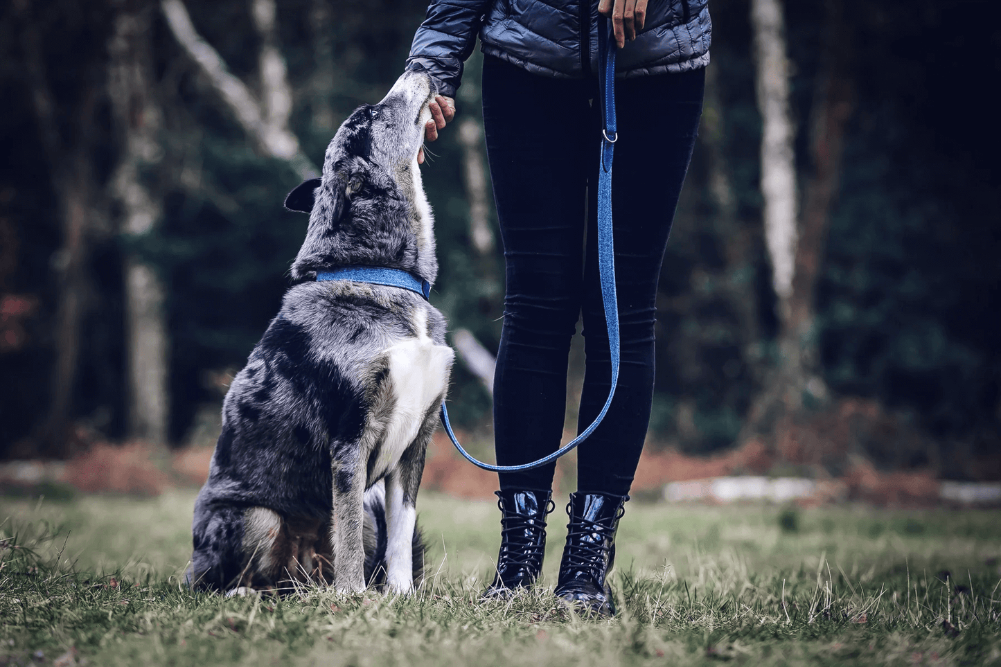 “Rayleigh” Fabric & Leather Dog Lead – by Ralph & Co-4