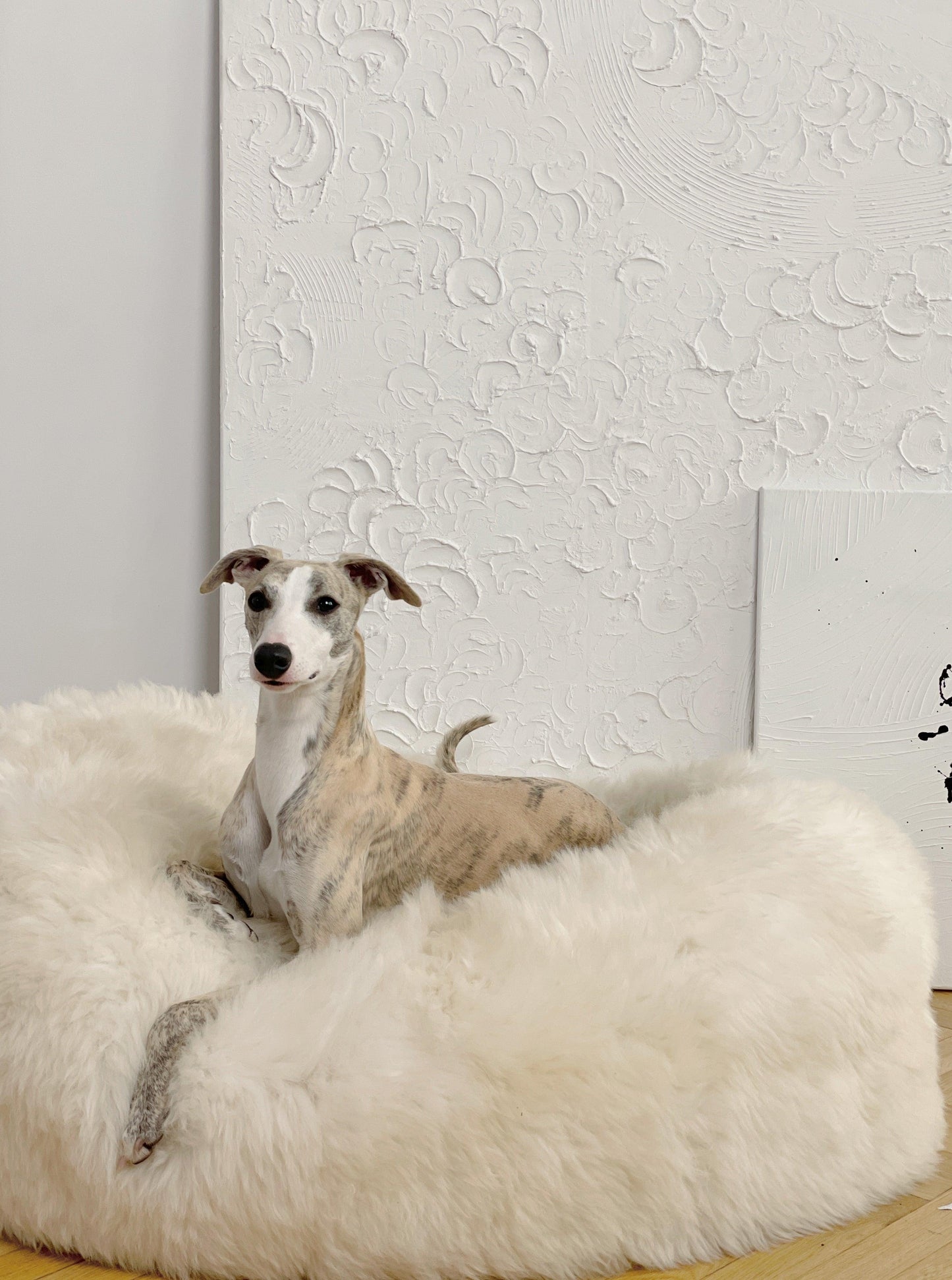 Panier pour chien ovale en peau de mouton naturelle - Blanc