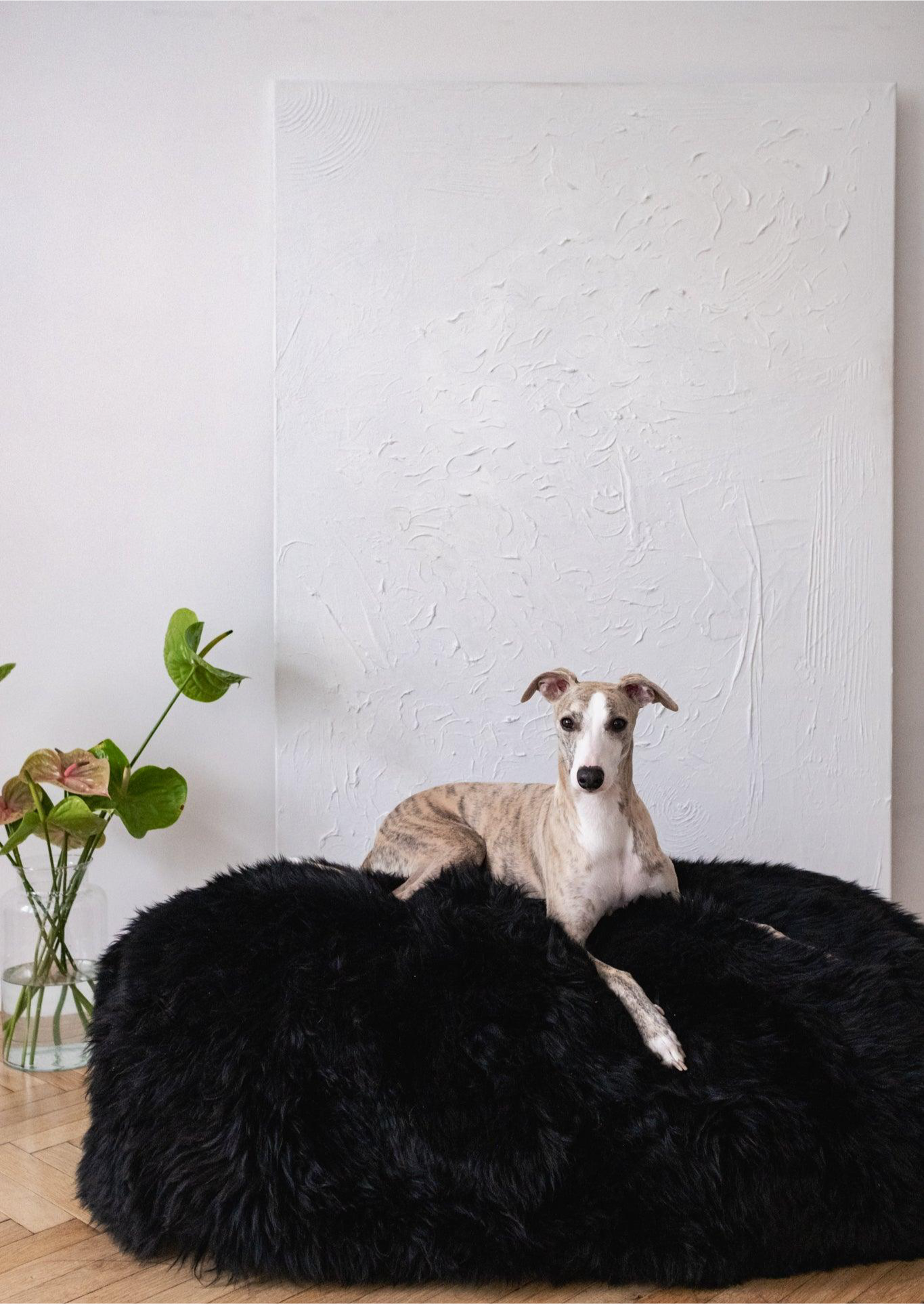 Panier pour chien oval en peau de mouton naturelle - Noir