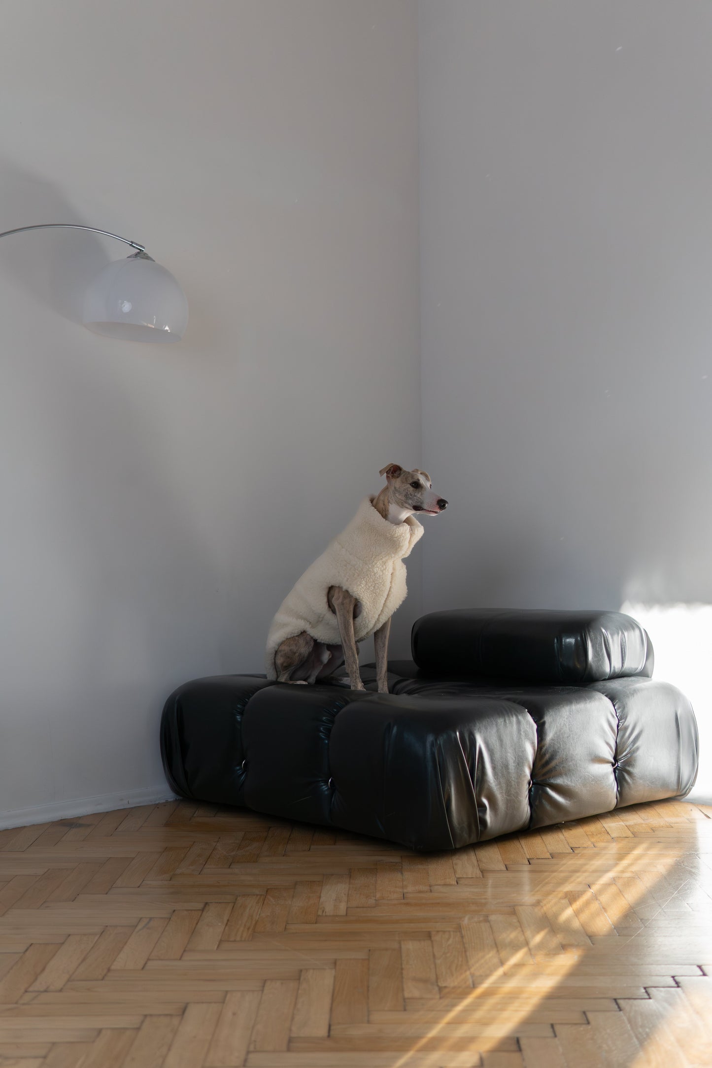 Gilet en laine pour chien - Blanc