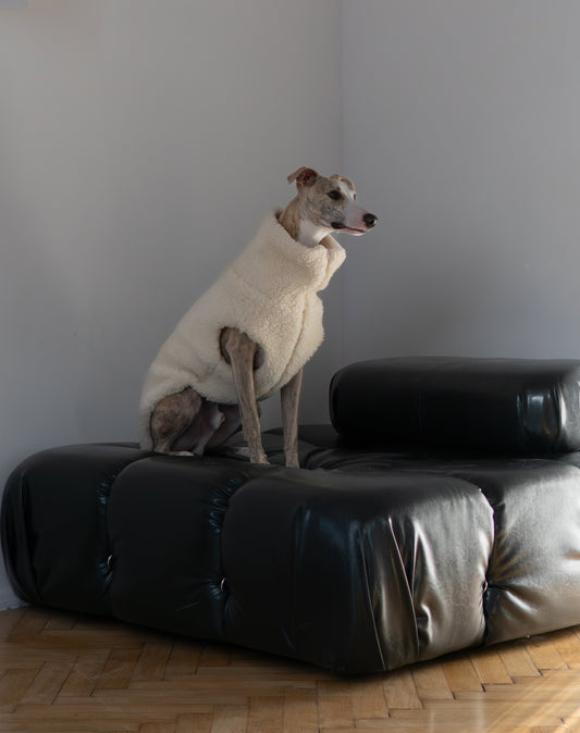 Gilet en laine pour chien - Blanc