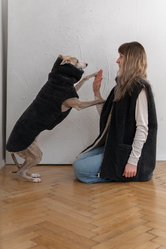 Woolen Dog Vest - Charcoal-0