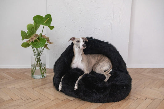 Coussin caverne pour chien en peau de mouton naturelle - Noir