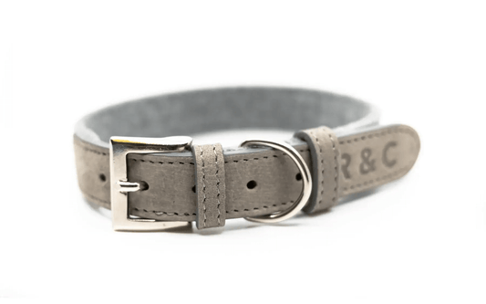 “Dalton” Fabric & Leather Dog Collar – by Ralph & Co-0