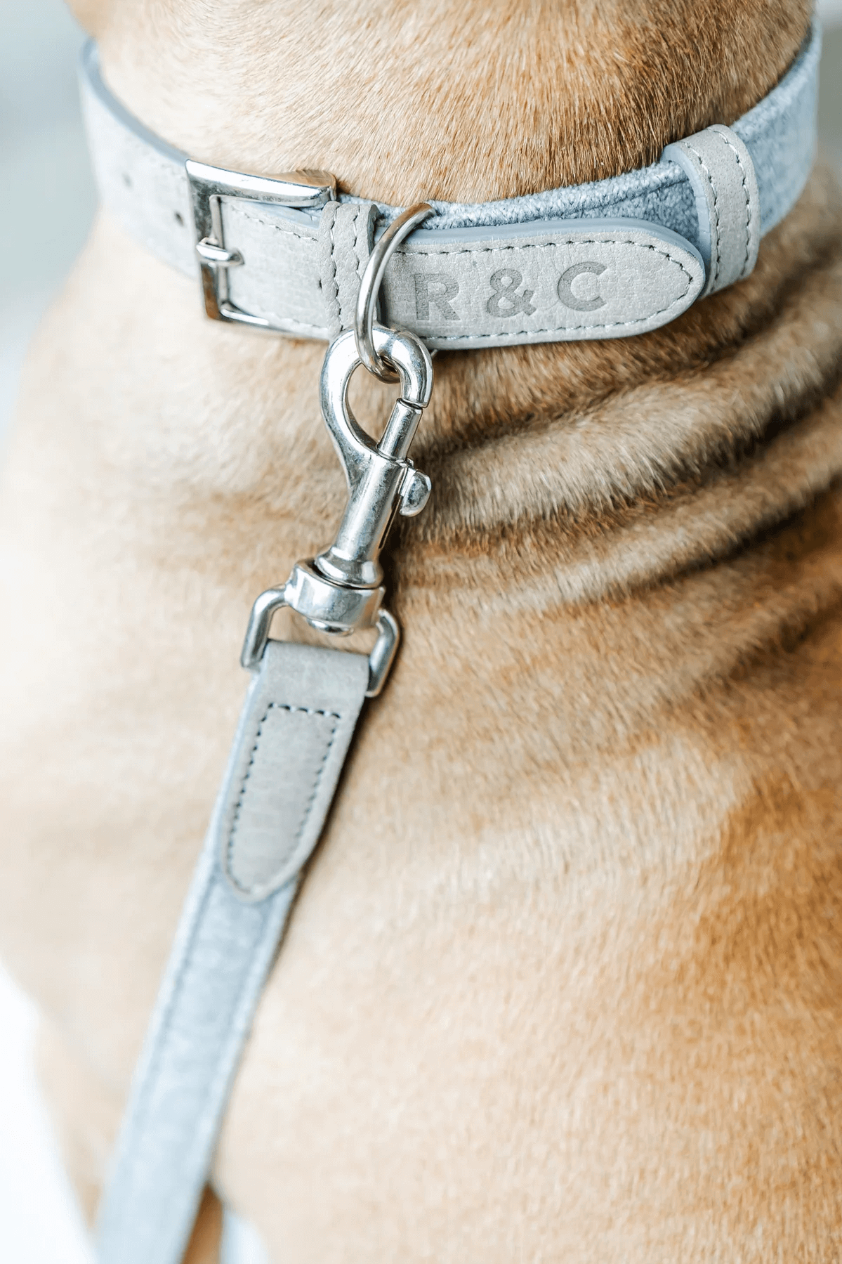 “Dalton” Fabric & Leather Dog Lead – by Ralph & Co-0