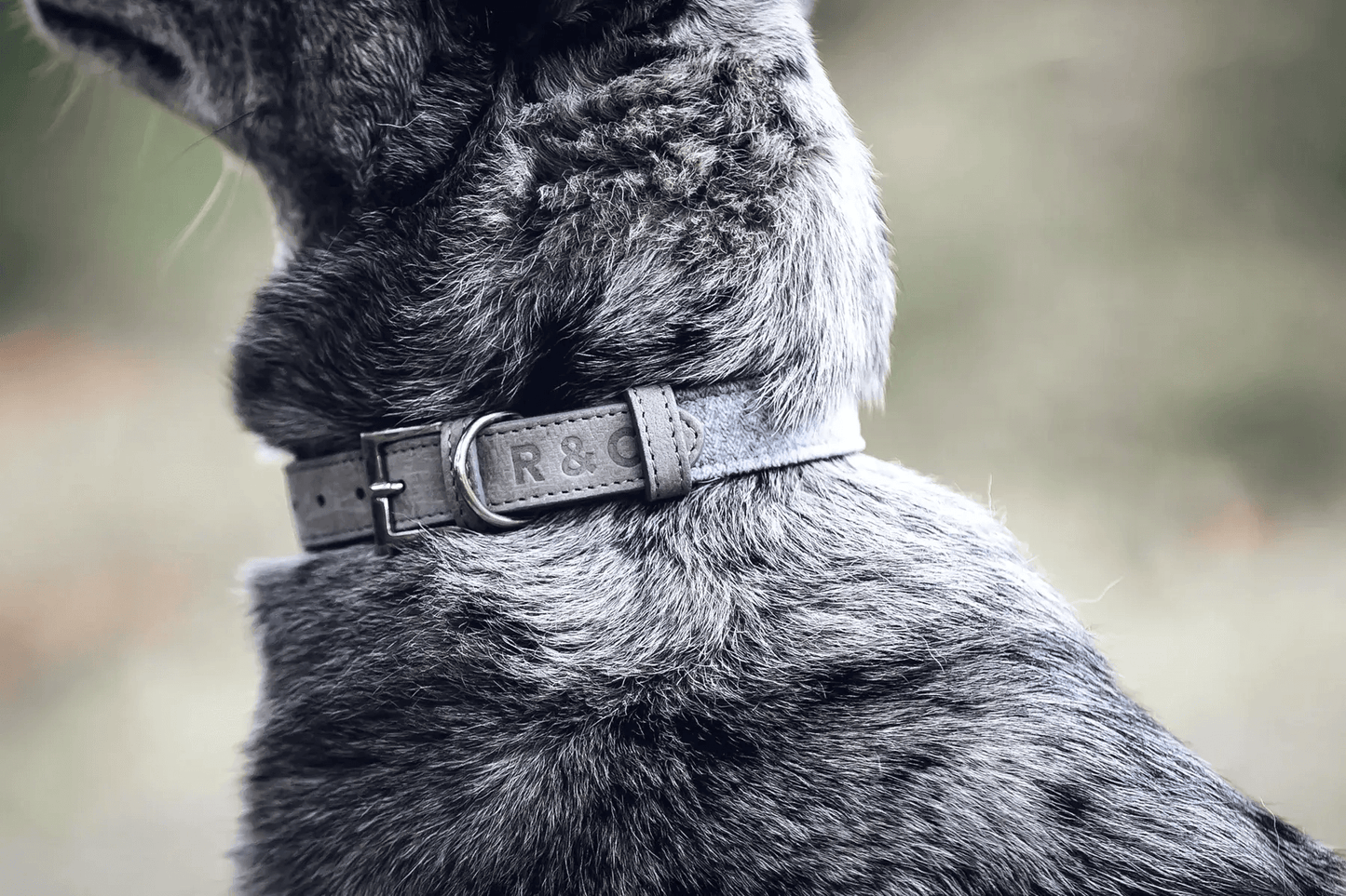 “Dalton” Fabric & Leather Dog Collar – by Ralph & Co-2