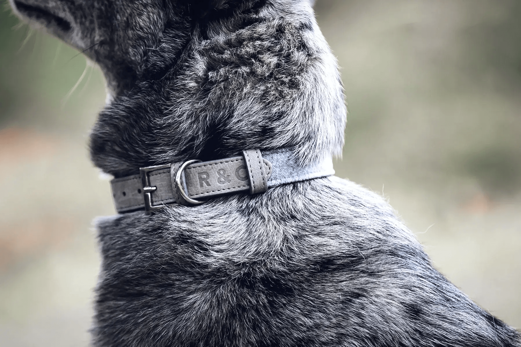 “Dalton” Fabric & Leather Dog Collar – by Ralph & Co-2
