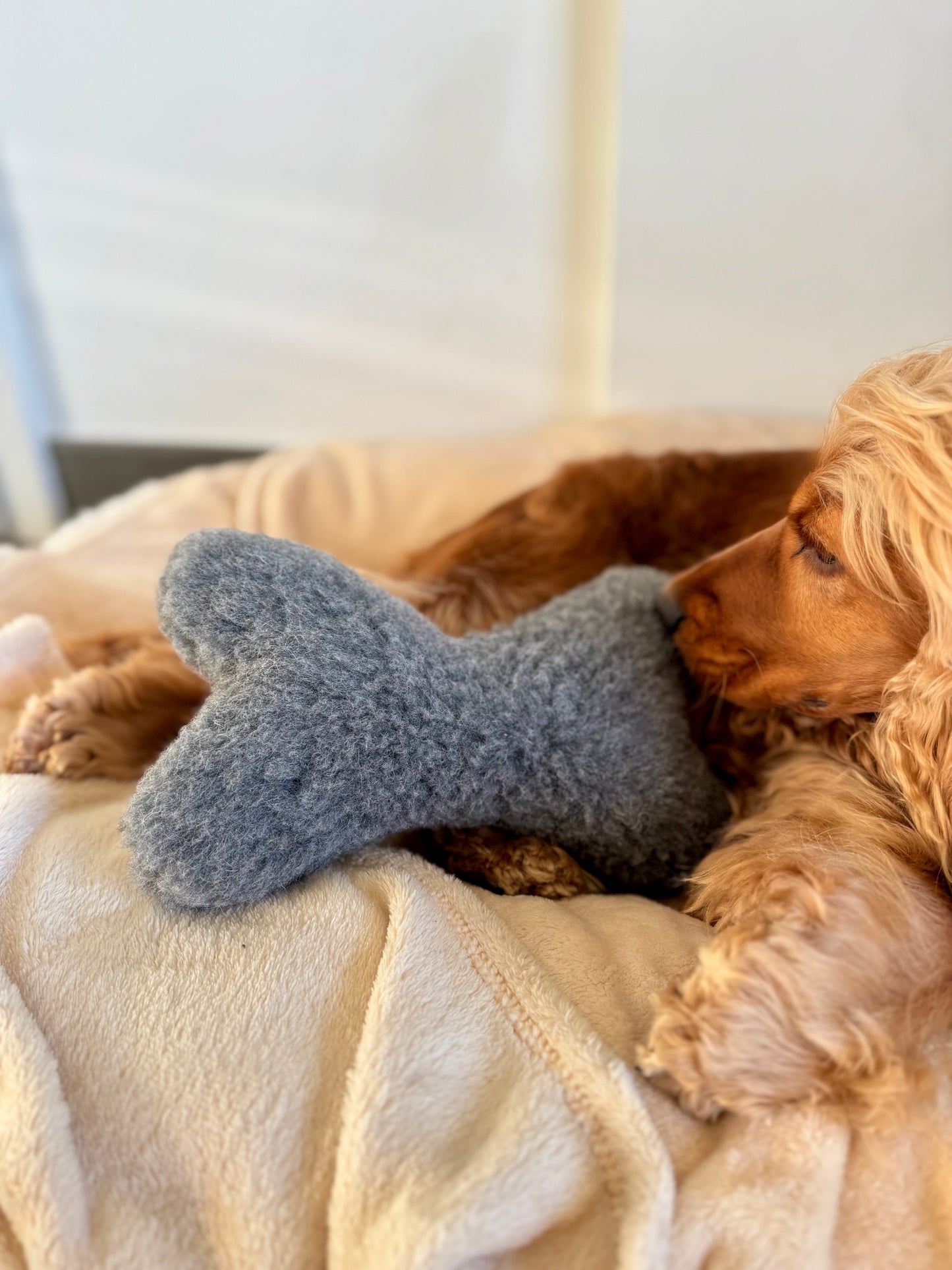 Jouet pour chien en laine naturelle - en forme d'os - Gris anthracite