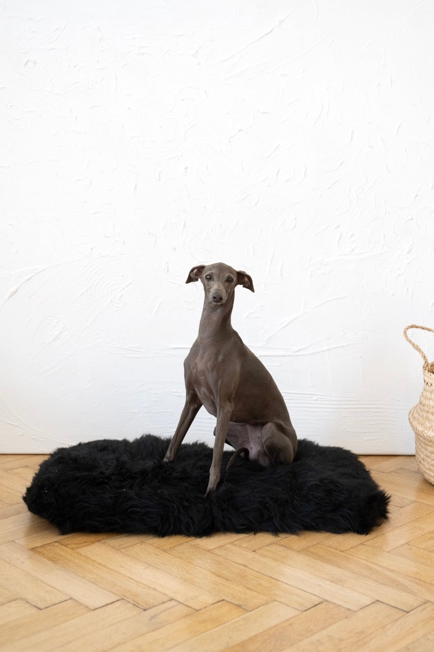 Tapis pour chien en peau de mouton naturelle, carré ou rectangulaire - Noir