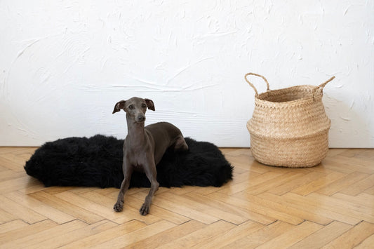 Tapis pour chien en peau de mouton naturelle, carré ou rectangulaire - Noir