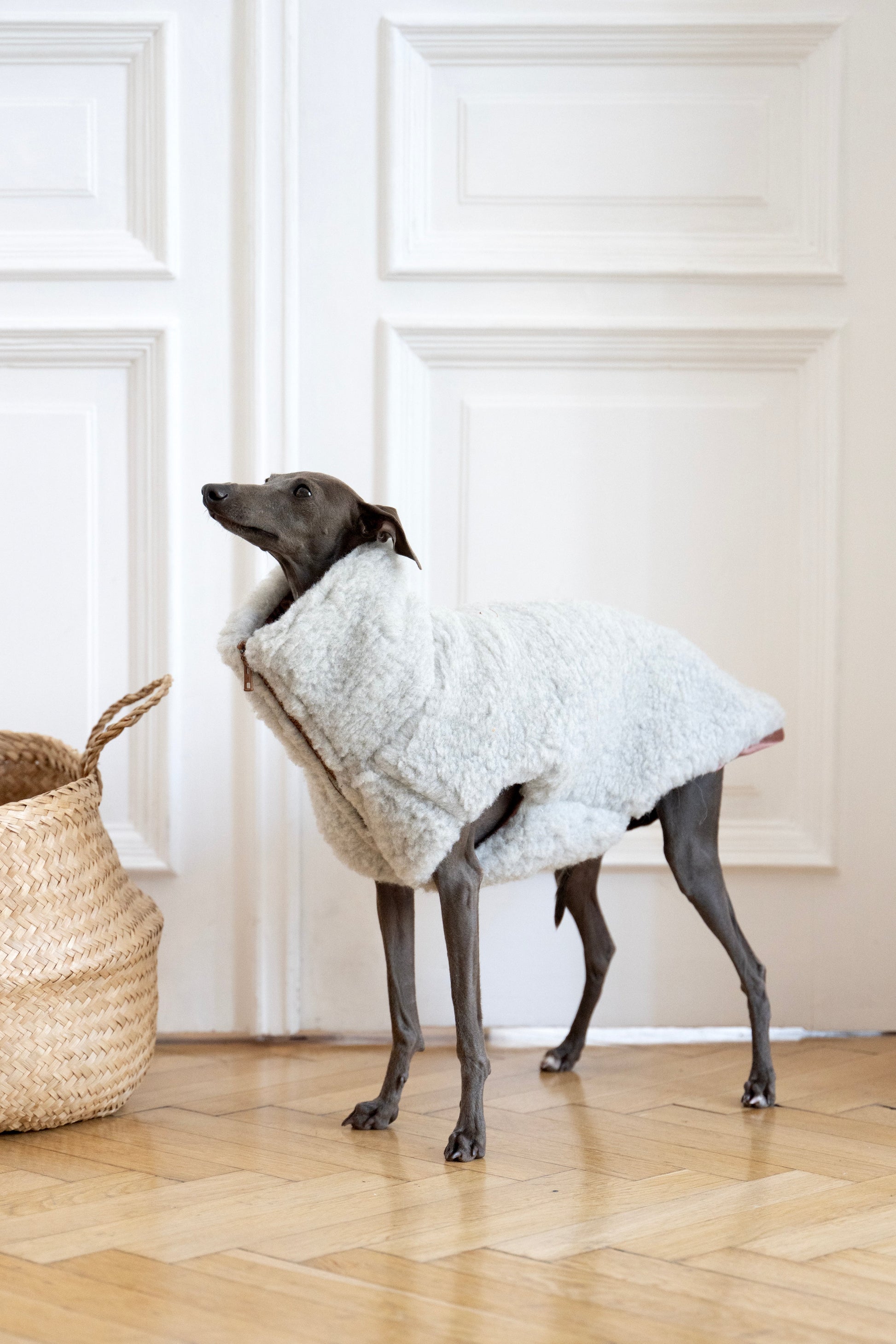 Woolen Dog Vest - Light Grey-2