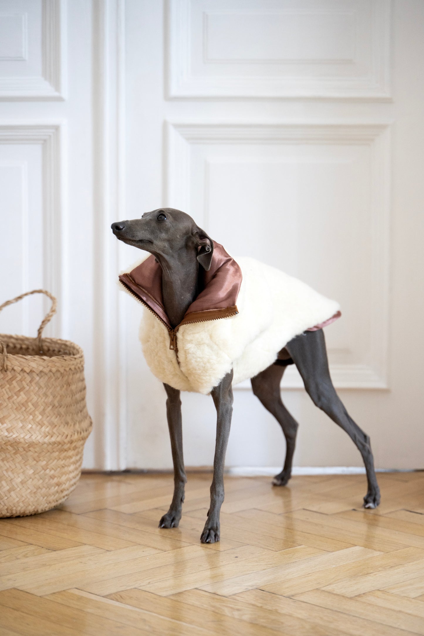 Gilet en laine pour chien - Blanc