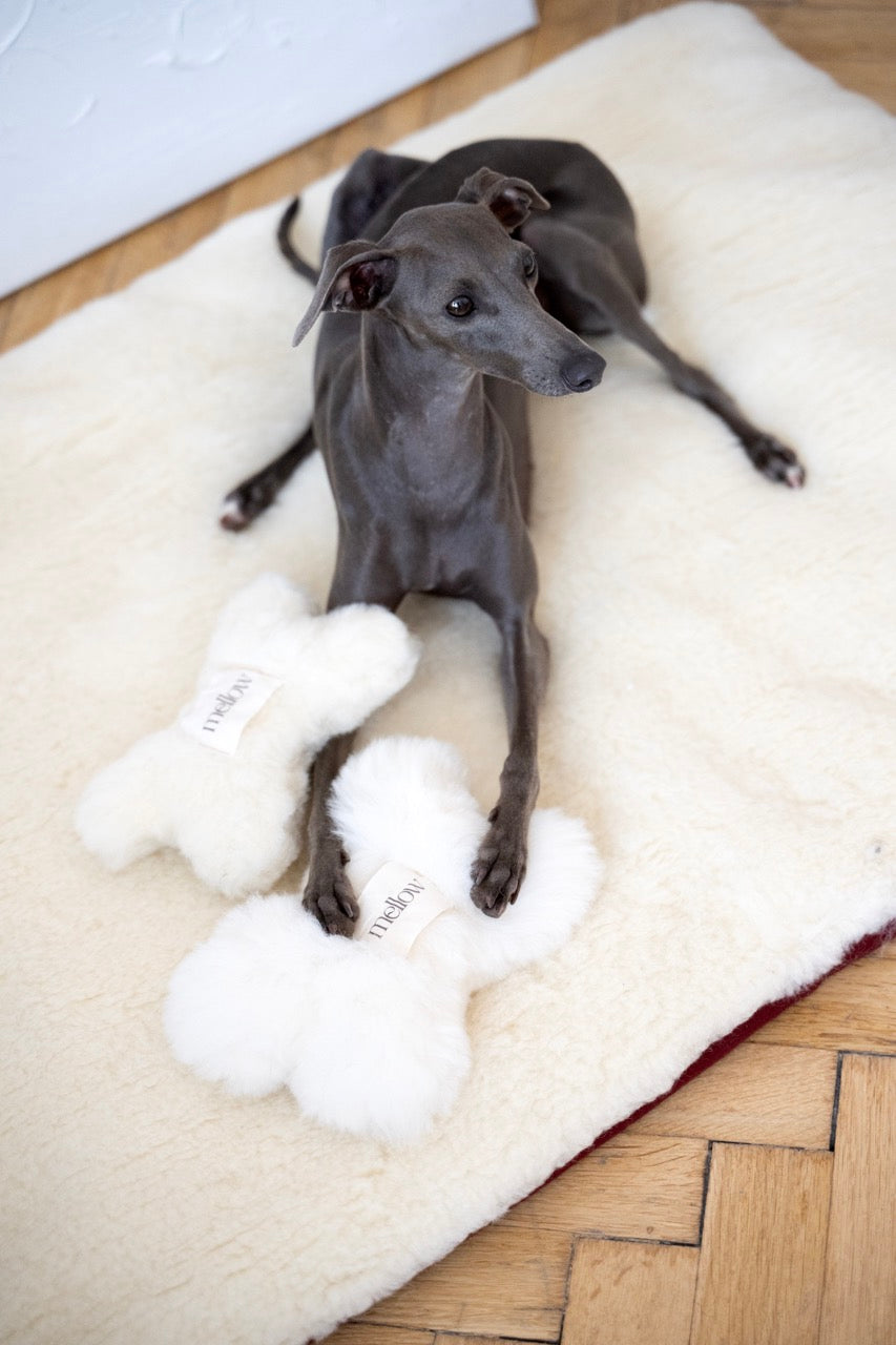 Jouet pour chien en laine naturelle - en forme d'os - Blanc