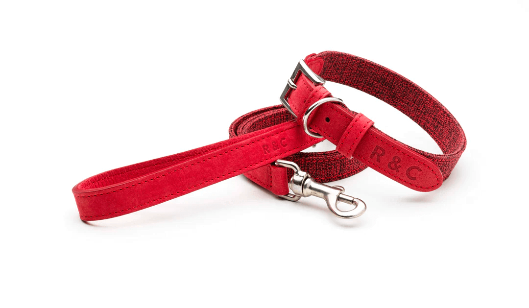 Laisse pour chien « Etna » en tissu et cuir nubuck