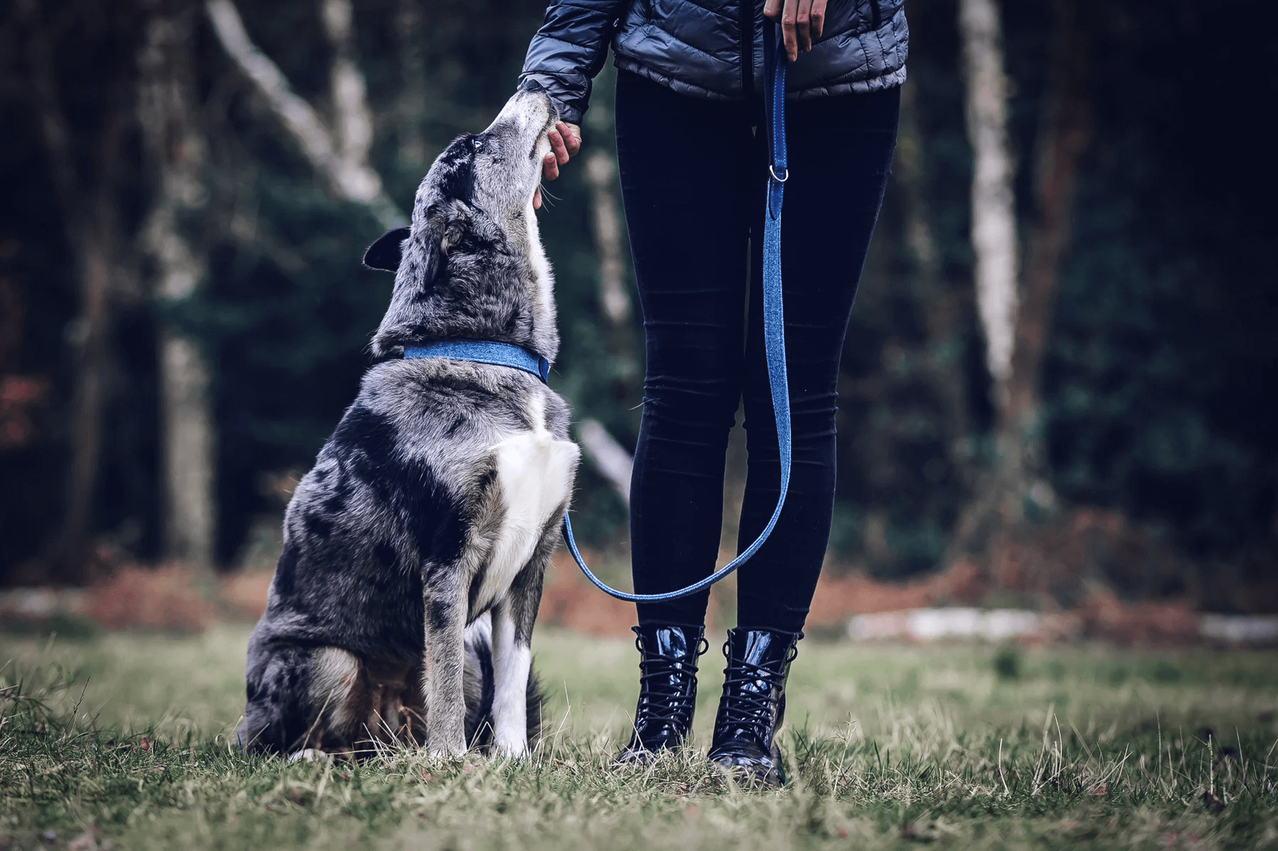 “Rayleigh” Fabric & Leather Dog Lead – by Ralph & Co-4