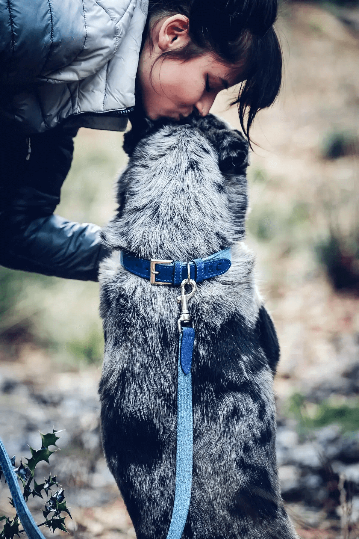 “Rayleigh” Fabric & Leather Dog Collar – by Ralph & Co-1