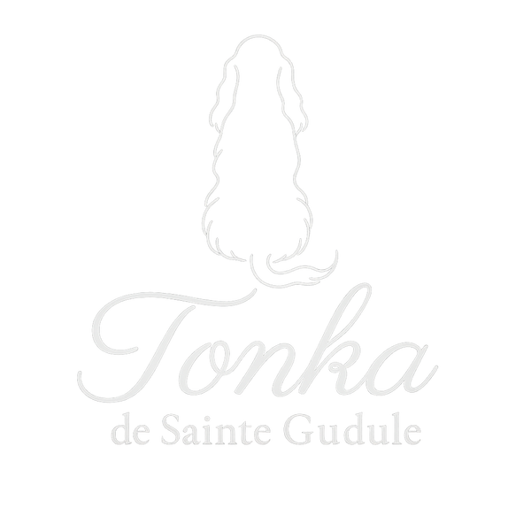Tonka de Sainte Gudule